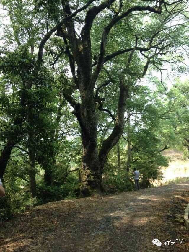 龙岩的"九寨沟"——岩山镇玉宝村