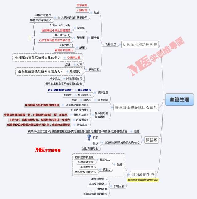 思维导图丨血管生理