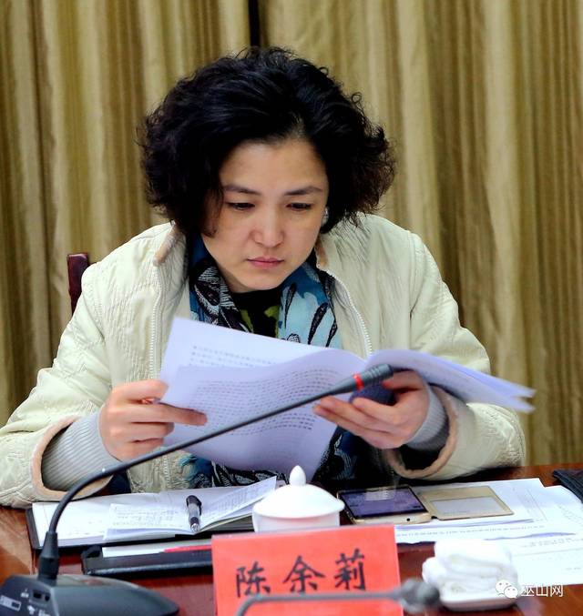 市文投集团党委书记陈余莉表示 在帮扶巫山中,要做