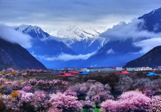 在林芝市常住人口中包含了哪些民族(2)