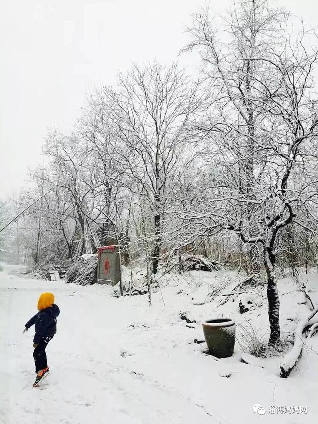 过年下雪了,一起打场雪仗可好?