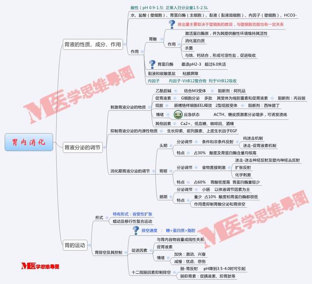 思维导图丨胃内消化