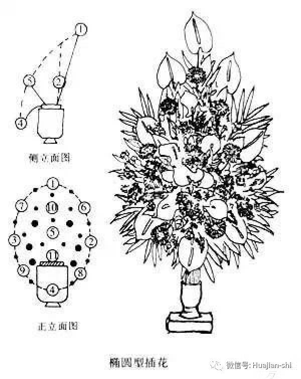 知识| 西方式插花艺术的几种基本花型