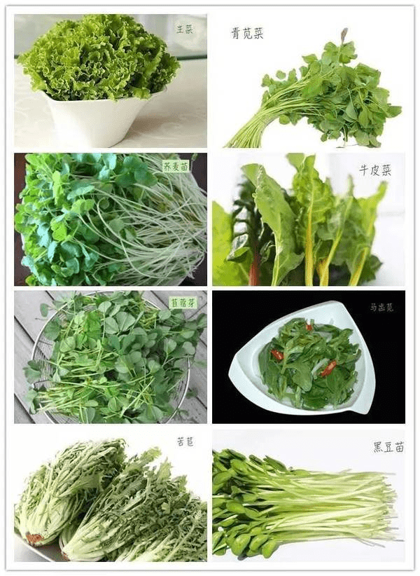 这些菜也就几块钱一斤,在鱼肉蛋奶,柴米油盐不断涨价的时代,绿叶菜们