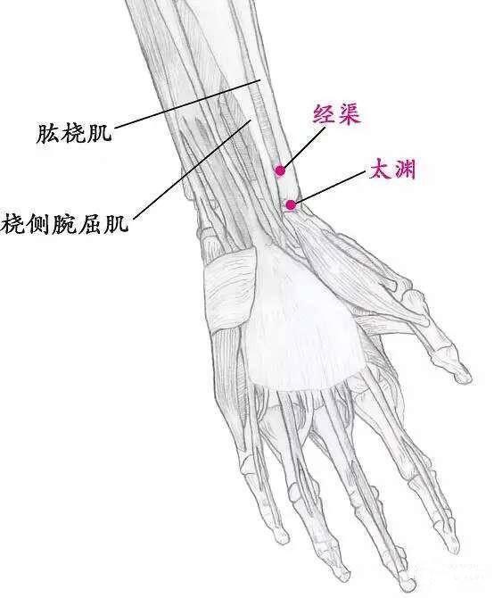 经渠  