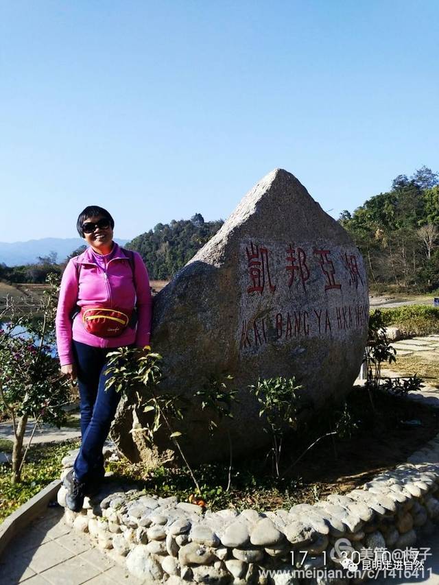 昆明走进自然盈江凯邦亚湖大榕树王那邦口岸一日游