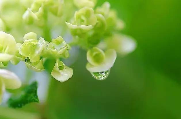 雨的印记钢简谱_雨的印记简谱(3)