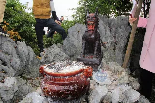 震惊!南宁上林多处山头惊现不明"神兽",众说纷纭!