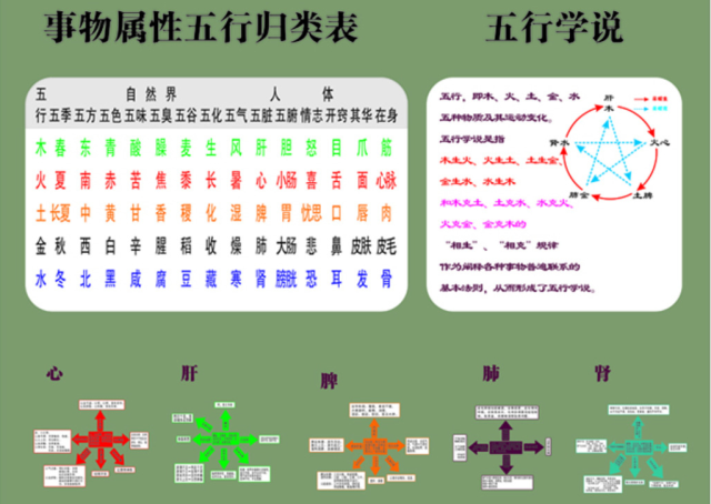 五行—火心脏与小肠互为脏腑表里,又属血脉及整个循环系统.