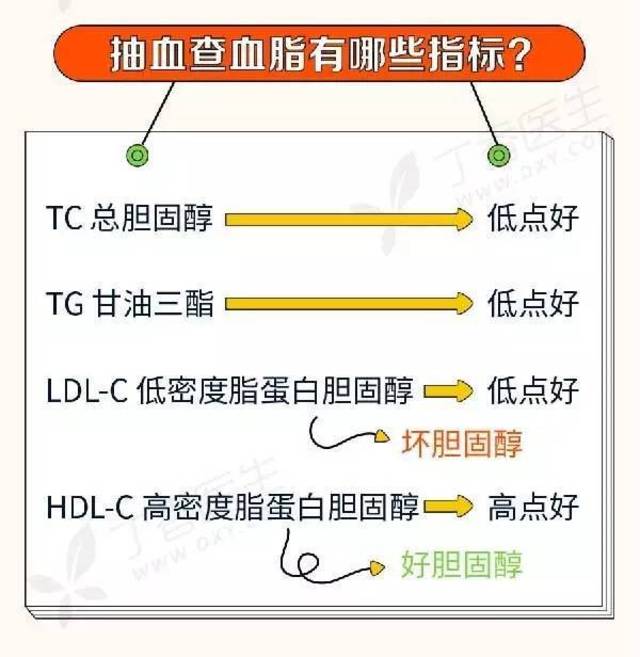 词不陌生,也都知道高了不好,但 有那么多项目的血脂检查单应该怎么看?