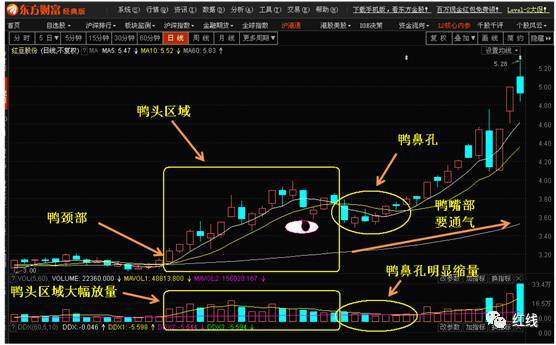 k线完成上述形态后,鸭嘴一张,就嘎嘎嘎叫出了长阳线!