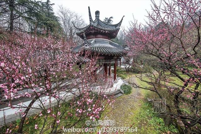 革命雨花台之役阵亡将士人马冢,南宋著名诗人陆游命名的"江南第二泉"