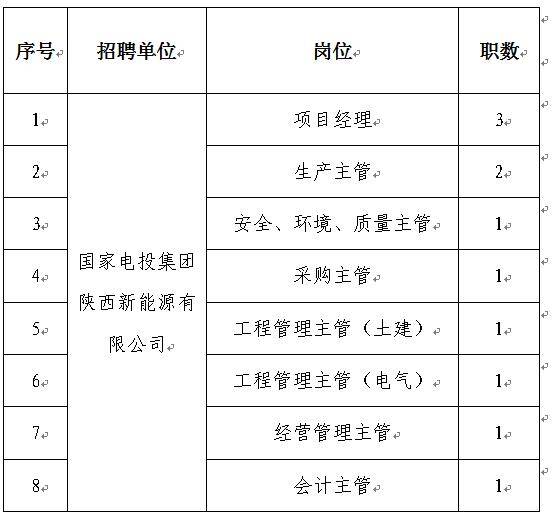 2017国家电力投资集团公司陕西分公司招聘11人公告