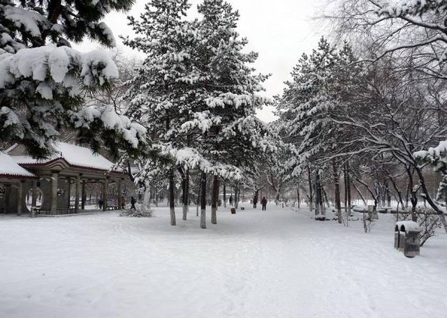 今天给大家带来我的家乡,冬天看雪必去佳木斯