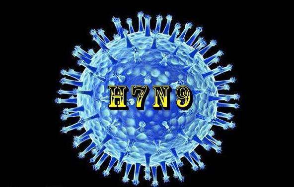 h7n9病毒变异速度惊人 如何防范