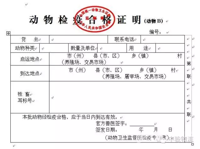 小贴士| 关于活体动物运输那些事儿