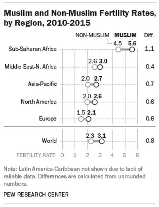 伊斯兰人口增长_人口增长模式图(3)