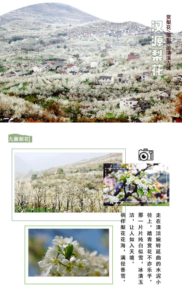 梨花开 线路,成温邛——成雅——雅西,九襄出口出高速三小时左右路程