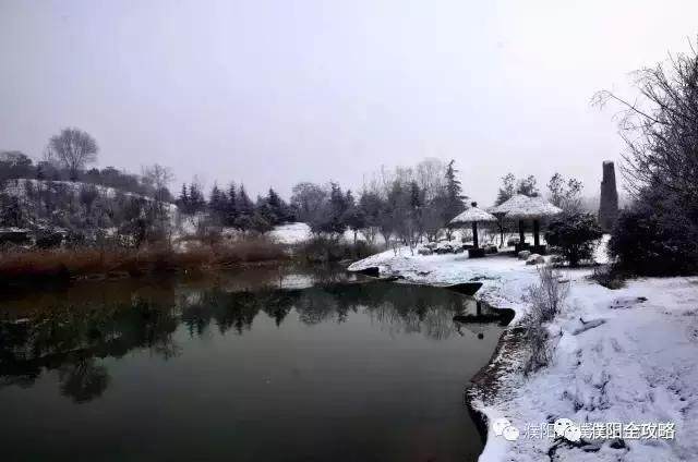 一场雪,濮阳濮上园就变成了仙境