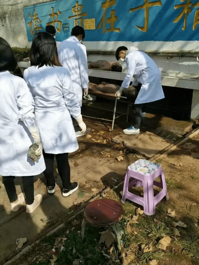 医学院学生直接在学生饮用水取水处冲洗尸体标本