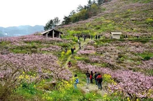 贵州:9大桃花美景"三生三世十里桃花"你来过没?