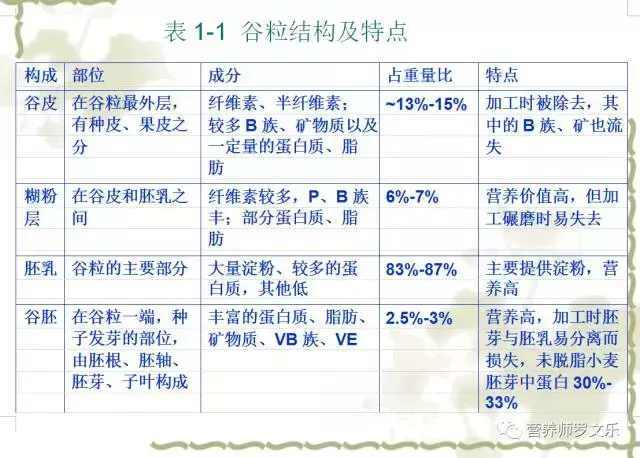 (四)谷粒的结构:谷皮,糊粉层,胚乳,谷胚四个部分