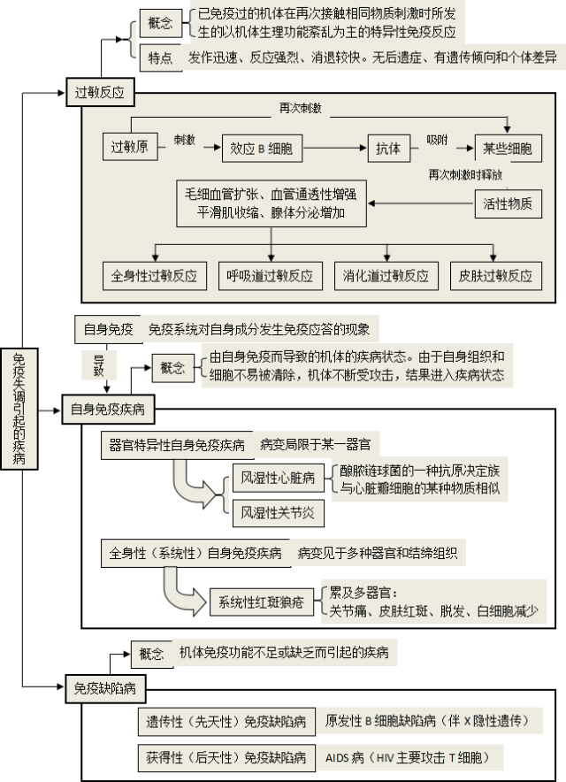 体液免疫与细胞免疫