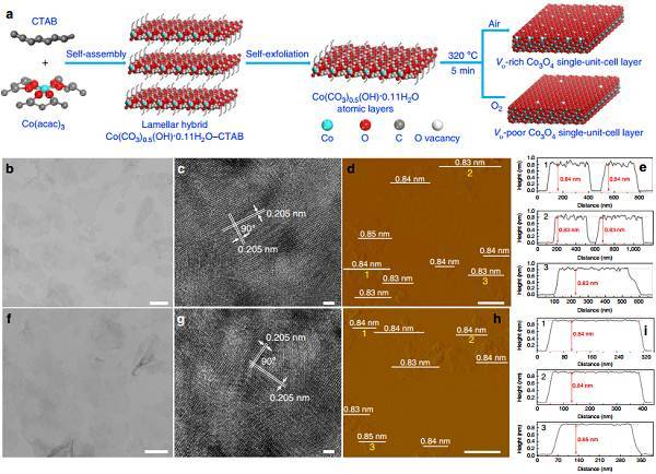 【图文导读 图一:材料合成策略和结构表征(b~e 富氧空位co3o4超薄