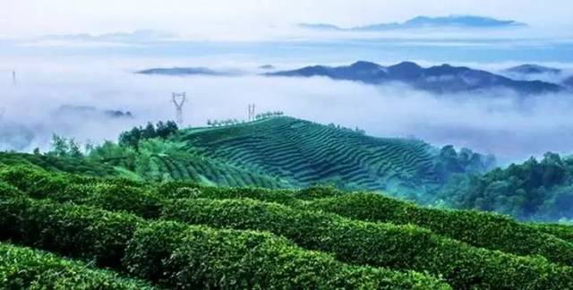 茶园镇人口_桂东清泉镇茶园风景