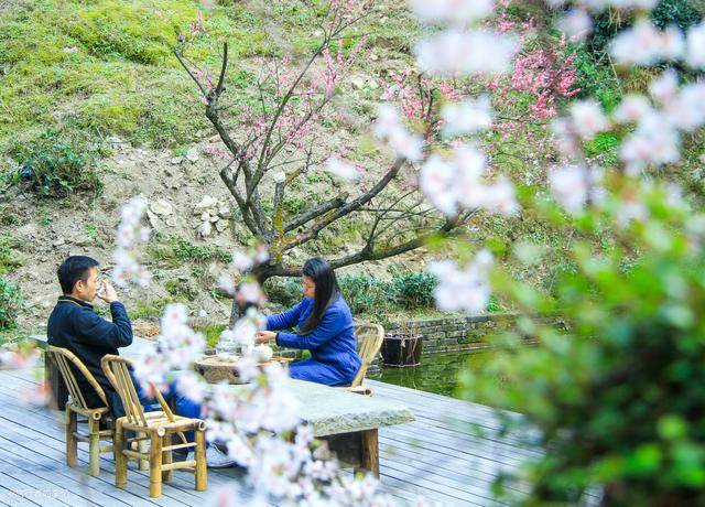 遇见桃花源,遇见千岛湖雪坑村