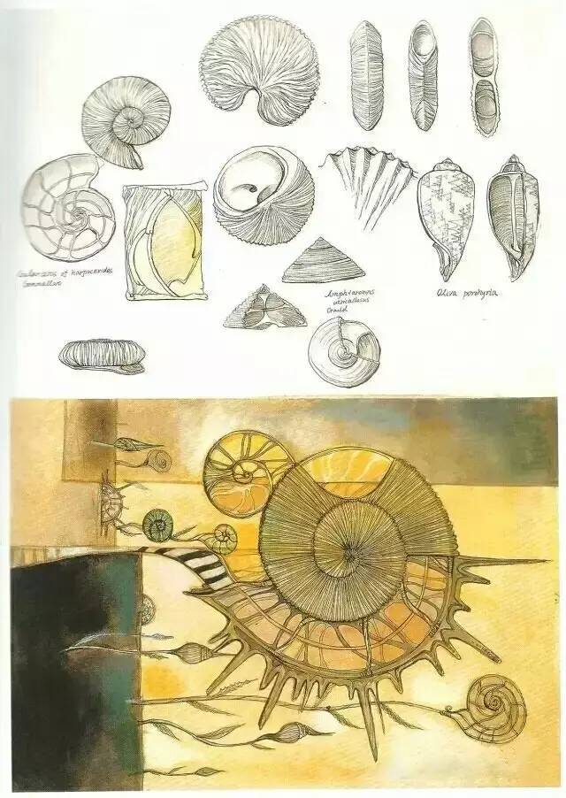 四年级表格式教案_教案表格式_人教版二年级数学下册表格式教案