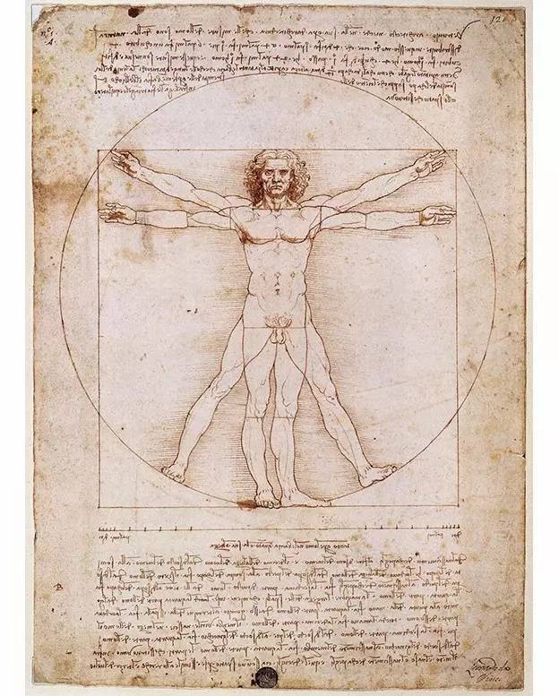 1492 vitruvian man