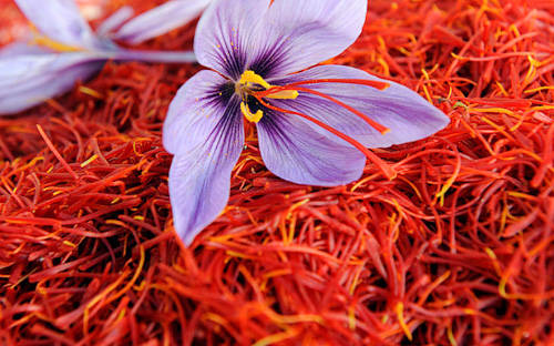 5) saffron (番红花/藏红花)