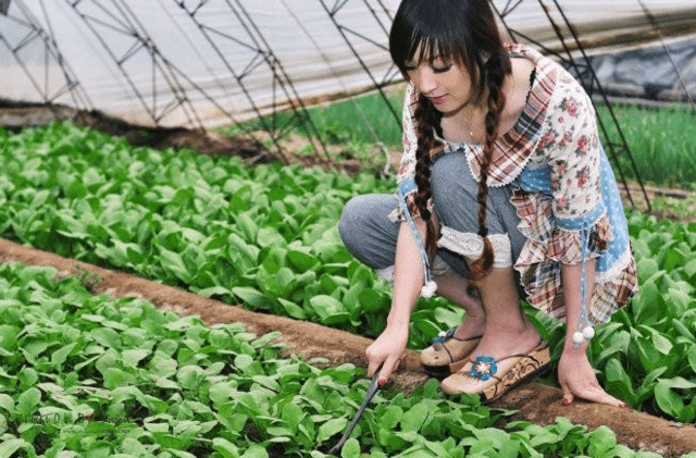 发几张农家女的照片,找个农村姑娘结婚吧