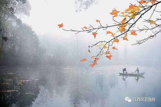 江西12个4a级景区能不能成为国家级5a,就靠你们了!