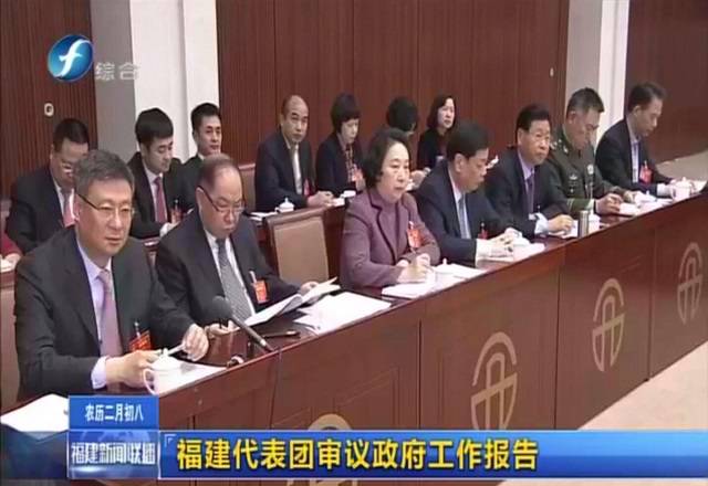 三棵树董事长洪杰第五次出席全国"两会"