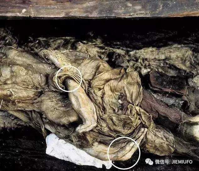 阿尔泰山发现2500年前干尸,身上有神秘纹身