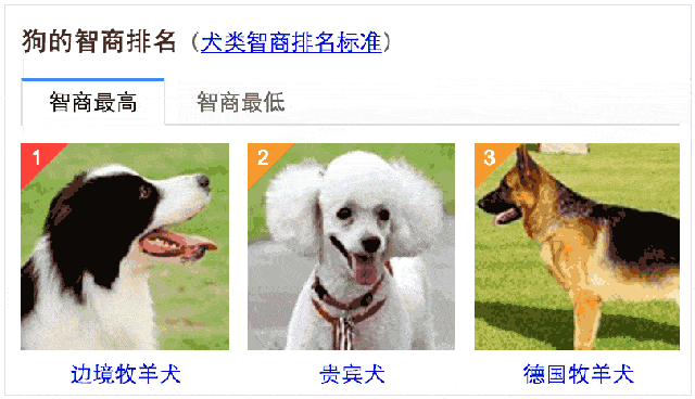 在我心里,这些才是中国最受欢迎的十种狗狗-宠物频道