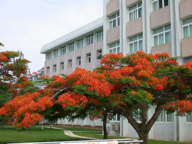 想和你一起去花开的最美的大学读书