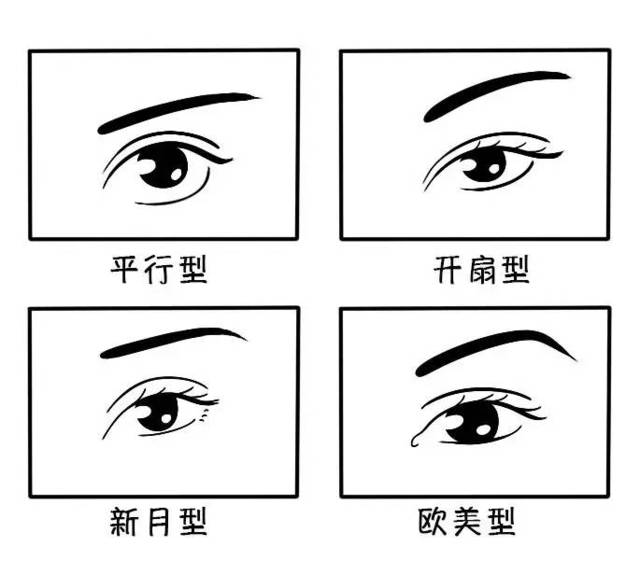 常见的几种眼型▼