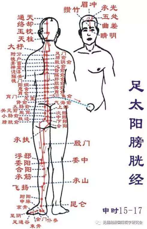 方法:每天1-2次,每次按摩10分钟左右,力度以感到轻微酸痛为宜.