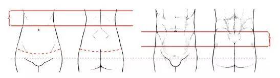 女性在胸部以下到肚脐上部,男性在肚脐到腰窝下方一点的位置,是比较