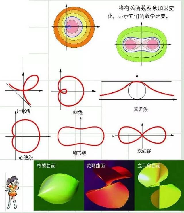 美丽的蔷薇曲线 黎曼函数曲线