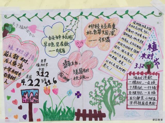 新邵县小塘镇言栗小学:举办植树节手抄报评比活动