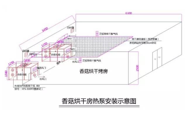 成功案例解析：权威媒体报道如何助力EB1A申请