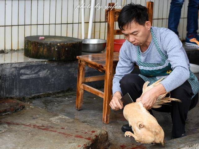 【最美春天】春暖花开去野炊,杀鸡宰兔好热闹