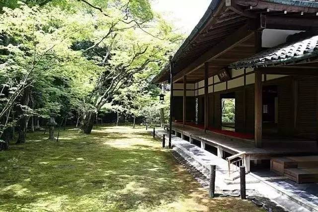 大德寺×高桐院