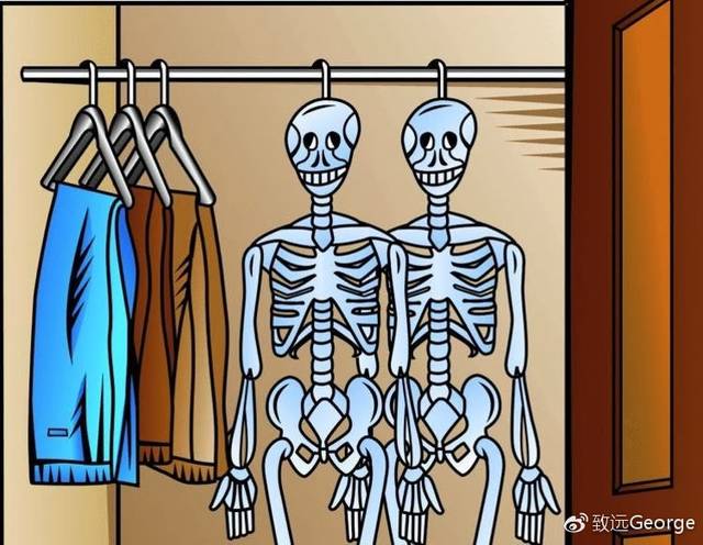 a day-a skeleton in the cupboard啥意思?