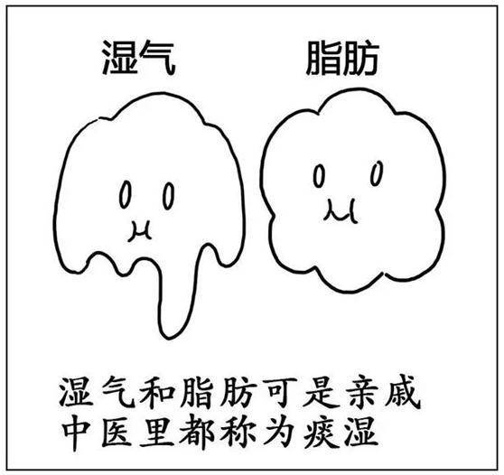 罗尧寿祛湿:最火的一幅漫画教你看懂湿气怎么来的