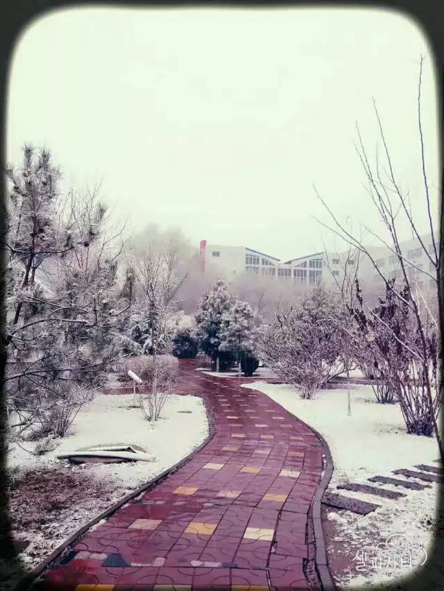 校园丨甘肃高校最美雪景大集结